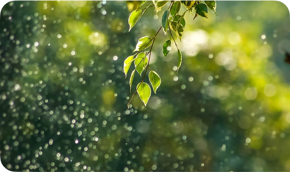 Política medioambiental