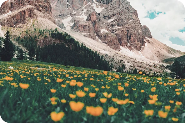 Política medioambiental